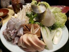 -鲤·鮨KOISUSHI