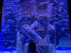 -波塞冬旅游度假区