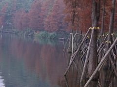 -重庆彩云湖湿地公园