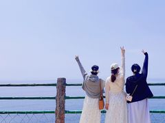 -广东惠东海龟国家级自然保护区
