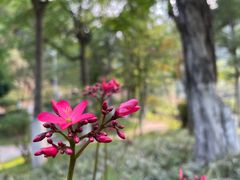 -火炉山森林公园