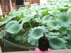 -观唐（国际）度假村温泉