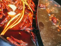 -蜀大侠火锅(少陵路店)