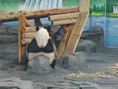 -秦皇岛野生动物园