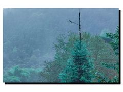 -敬亭山风景名胜区