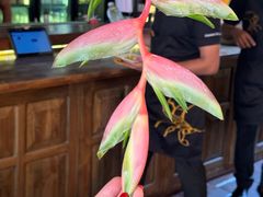 -Ministry of Crab(科伦坡店)