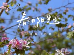-洲头咀公园