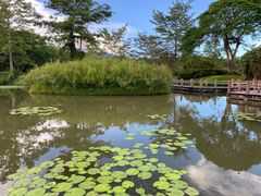 -西双版纳原始森林公园