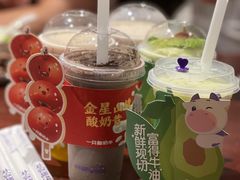 -一只酸奶牛(八一路店)