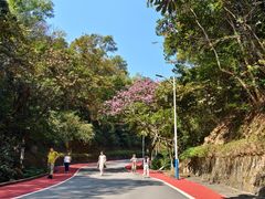-火炉山森林公园