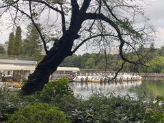 -井之头恩赐公园