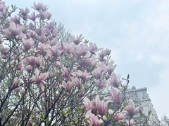 -北京奥林匹克公园