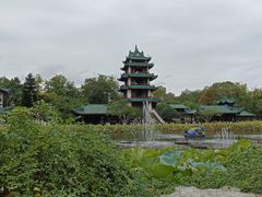 -桂湖森林公园