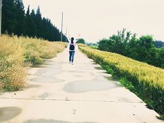 -南京金牛湖风景区