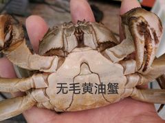 -王红军龙虾(新民路店)