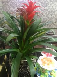 -明洞造型精品烫染