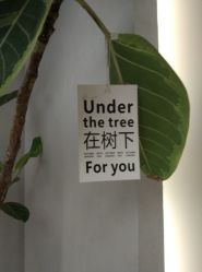 -颜蕾医美·黄金微针·水光·玻尿酸·超声炮·抗衰中心