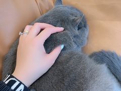 -猫友咖啡店(玉林西路店)