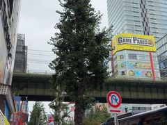 -秋叶原电器街
