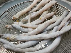 本港沙虫-凯华海鲜火锅·传承三十六年