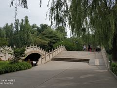-白洋淀景区
