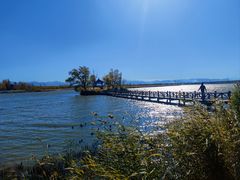 -野鸭湖国家湿地公园