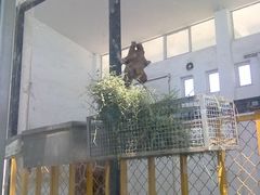 -大青山野生动物园