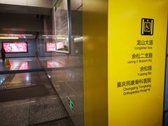 -大龙山(地铁站)