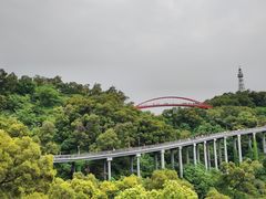 -金鸡山公园