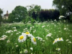 -华东政法大学(松江校区)