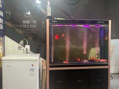 -老杨头烧烤(博烤堂店)