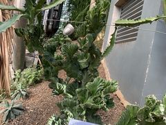 -南山植物园