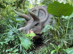 -海南热带野生动植物园