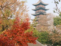 -上海方塔园