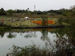 -白鹭湾湿地公园