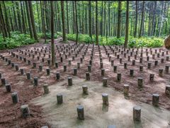 -洛阳白云山景区