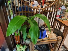 -东安鸡馆(蔡锷南路店)