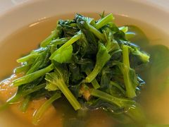 -茹·pure vegan(博华广场店)