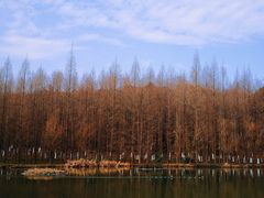-天生桥景区