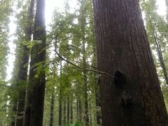 android_upload_pic-上海怡沁园度假酒店