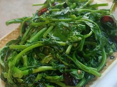 -张鲫鱼家常菜