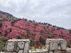 -木兰云雾山