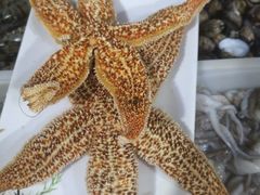 -宾朋海鲜特色美食餐厅·纯手工鲅鱼水饺(兴海路店)