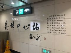 -奥体中心(地铁站)