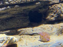 -沈阳海洋探索中心