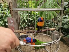 -南宫五洲植物乐园