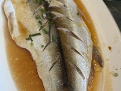 清蒸白鱼-蟹天蟹地农家菜·阳澄湖大闸蟹(浅水湾店)