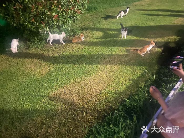 云龙湖旅游景区图片