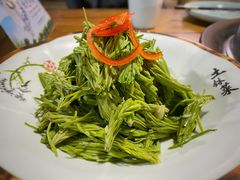 养生沙松尖-黄寺蒸汽海鲜(黄寺大街店)