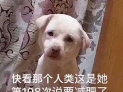 -杏好遇见你(总店)